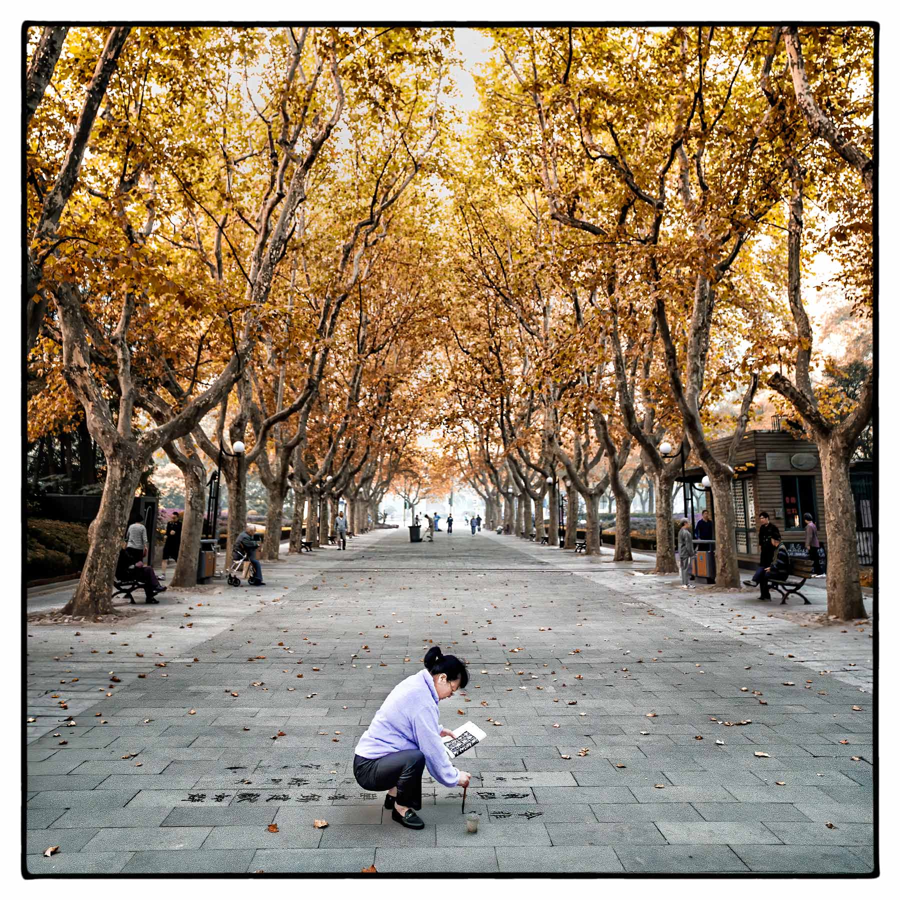 a-chinese-woman-practices-dishu-on-a-park-walkway-in-shanghai-china