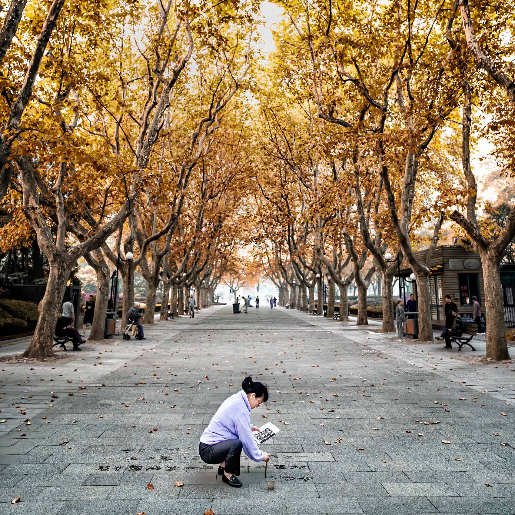a-chinese-woman-uses-a-paint-brush-to-practice-dishu-on-the-a-walkway-in-a-park-in-shanghai-china