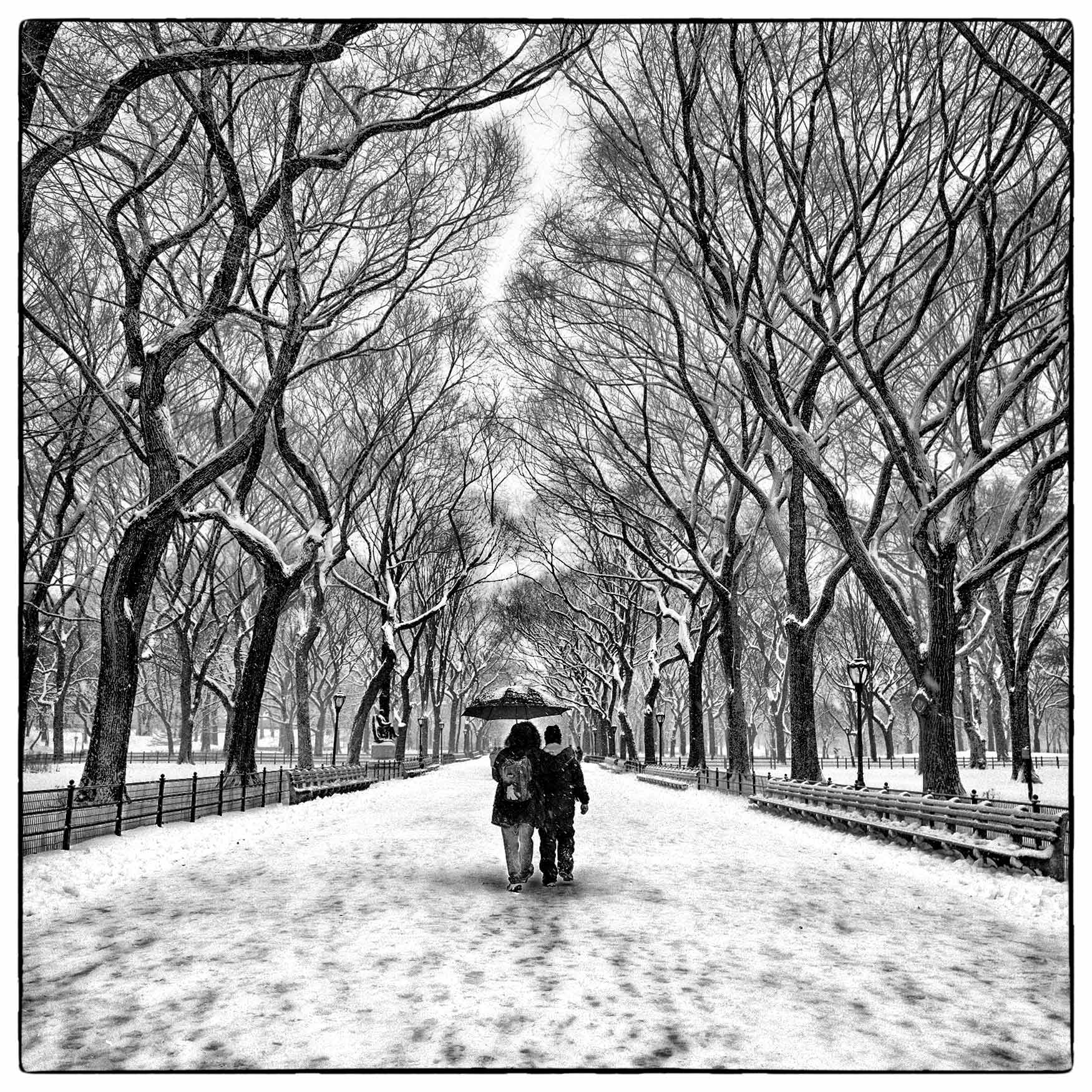 a-couple-is-framed-by-large-trees-as-they-walk-in-new-yorks-park-during-a-heavy-snow-storm