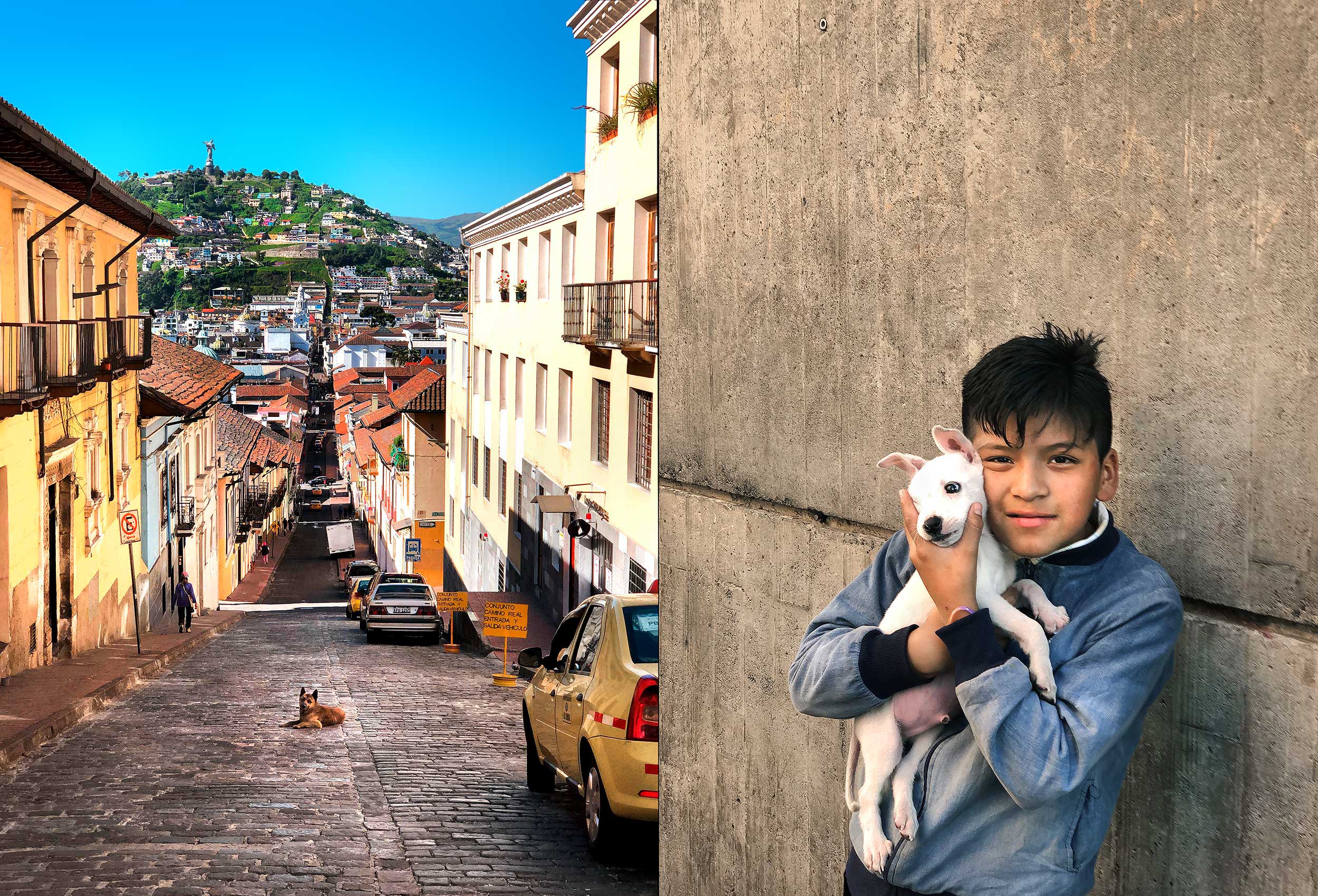 a dog sits in the middle of a street with the virgin of quito statue and hillside viewed in the background.