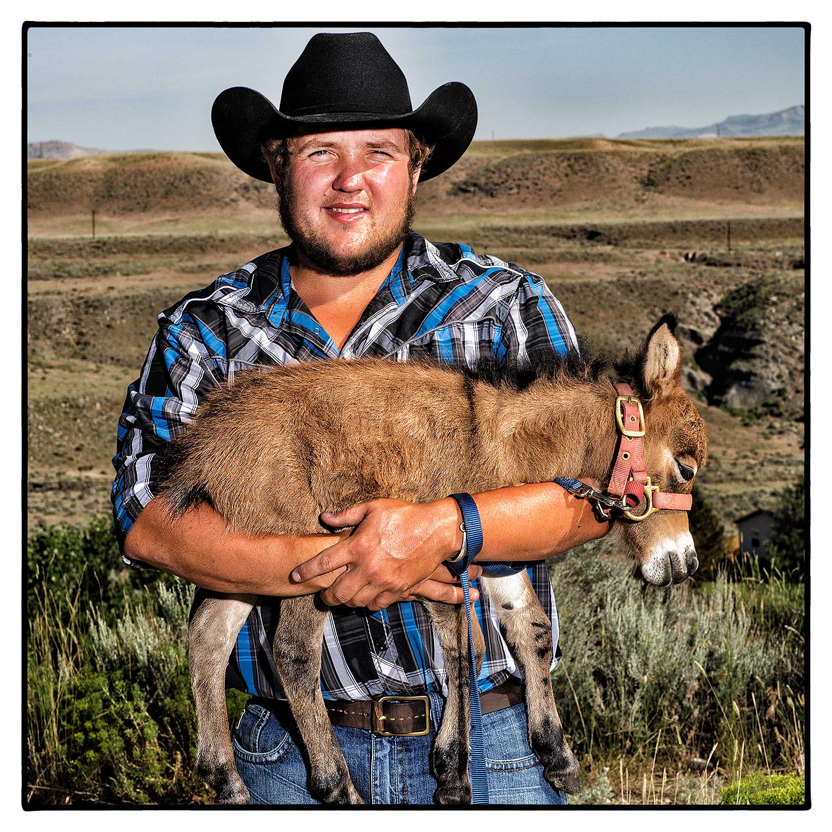 a-farmer-in-wyoming-holds-a-newborn-baby-donkey-in-his-arms