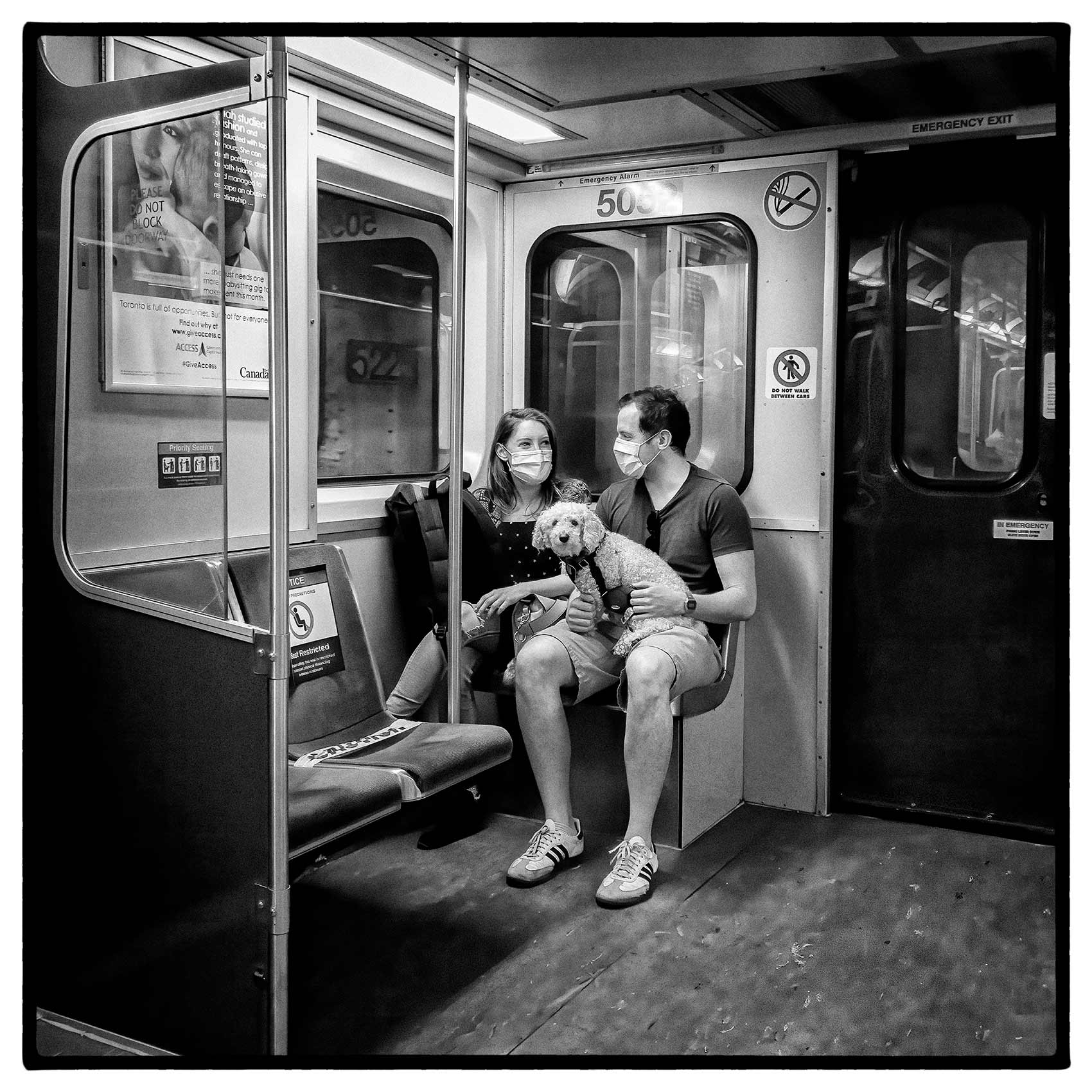 a couple wearing face masks and their dog while riding the toronto subway  during the pandemic