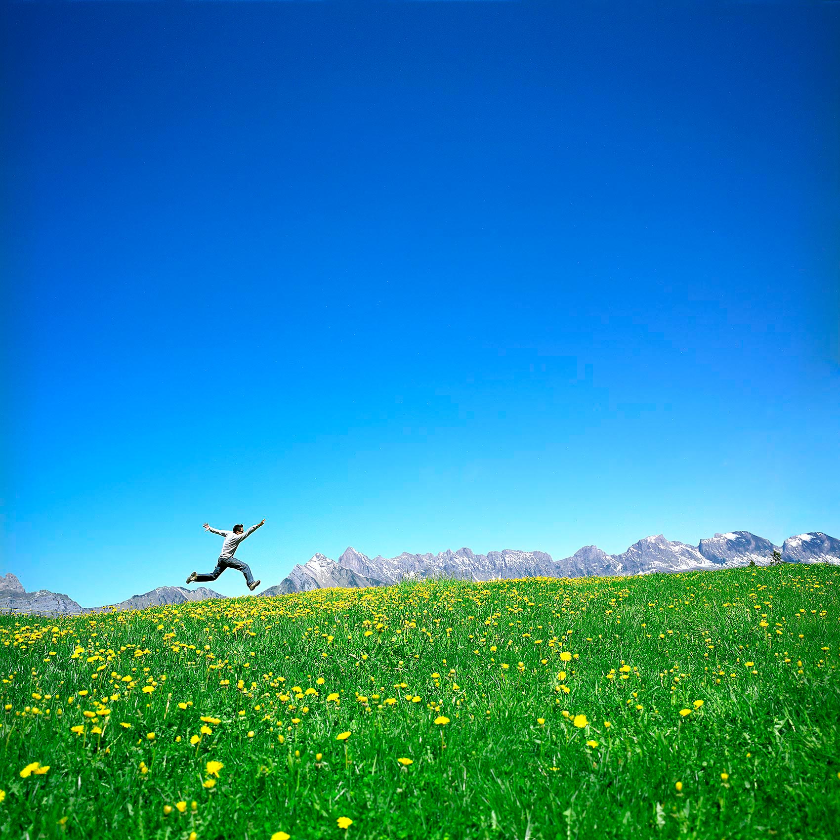 a man jumps in a green field with dandelions and the swiss alps behind him 