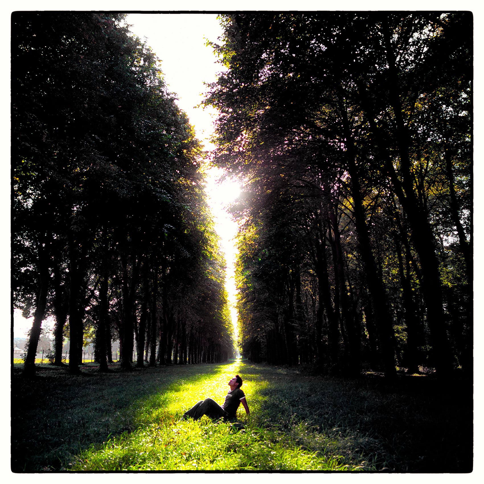 viradeth-manixab-sits-between-a-long-row-of-trees-at-sunset-while-visiting-chateau-de-versailles-in-france