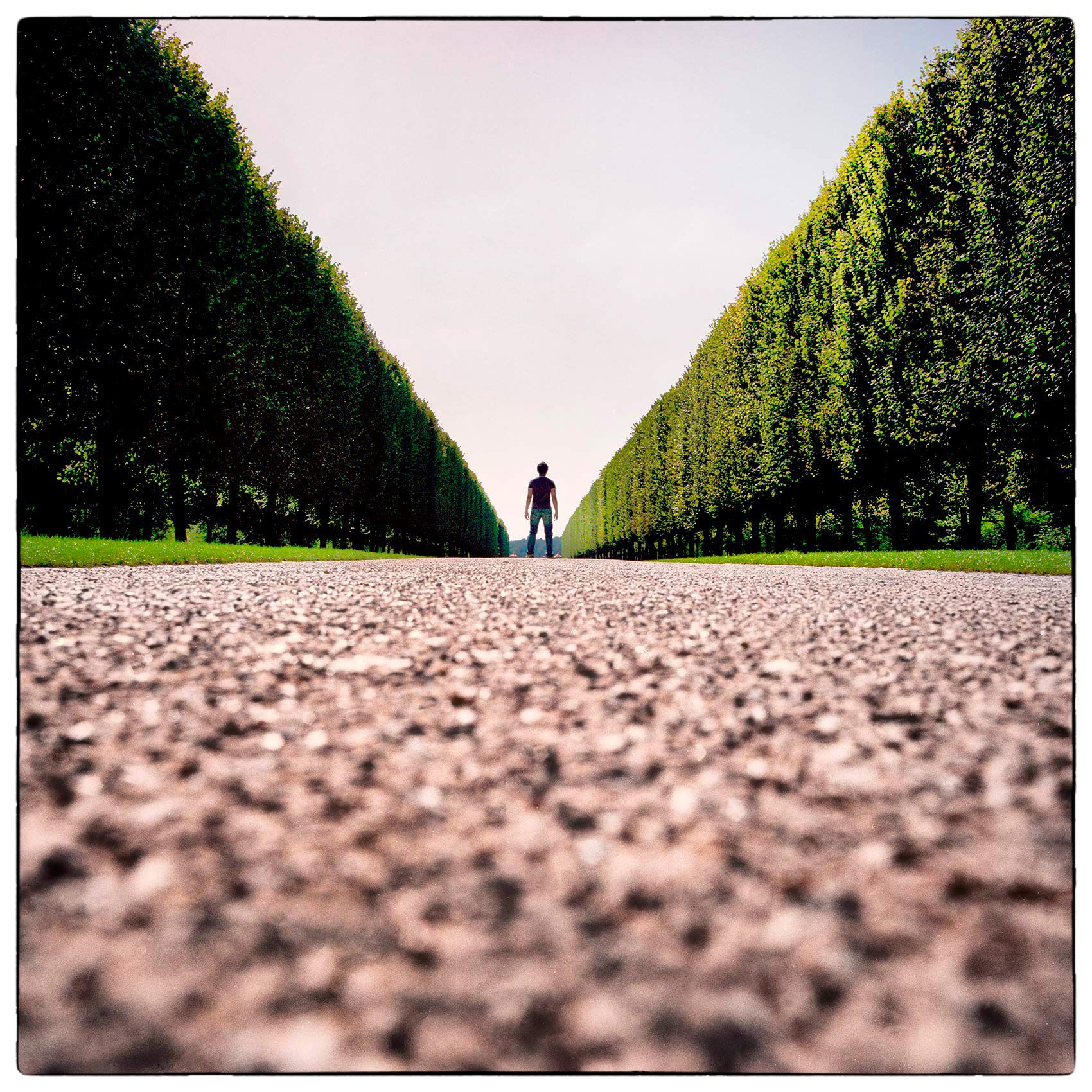 a-man-stands-in-the-middle-of-the-road-leading-to-chateau-de-versailles-francecopy