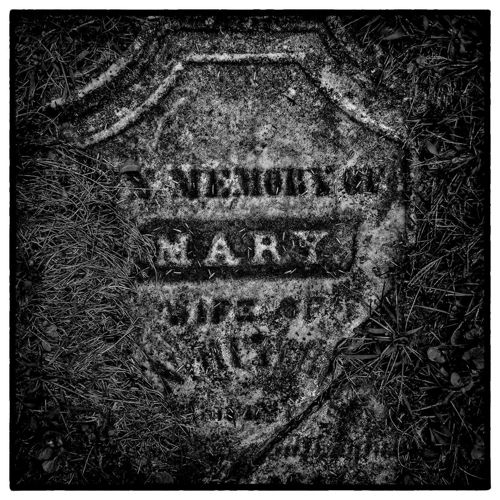 a-moss-covered-tombstone-by-award-winning-Toronto-photographer-John-Hryniuk
