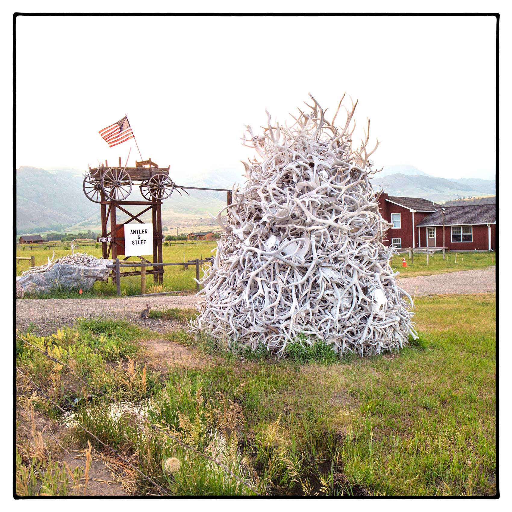 a-mound-of-deer-antlers-sits-outside-a-house-in-rural-wyoming