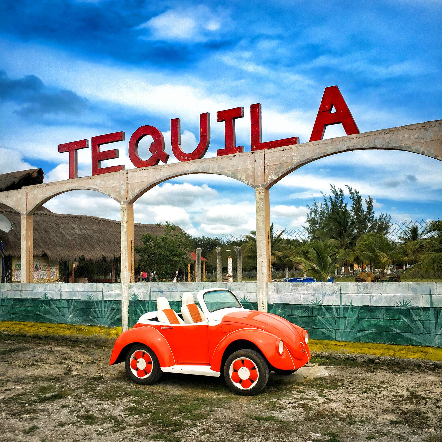 a-small-vw-bug-in-front-of-a-tequila-plant-in-cozumel-mexico