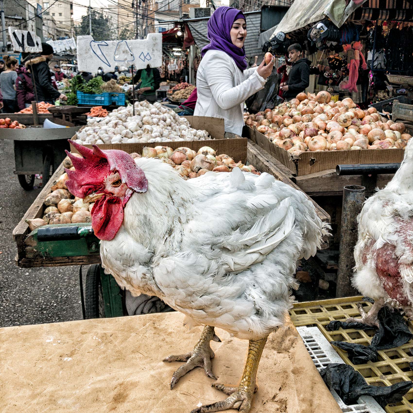 a-woman-checks-an-onion-at-a-market-in-west-beirut-as-a-chicken-stands-in-the-foreground
