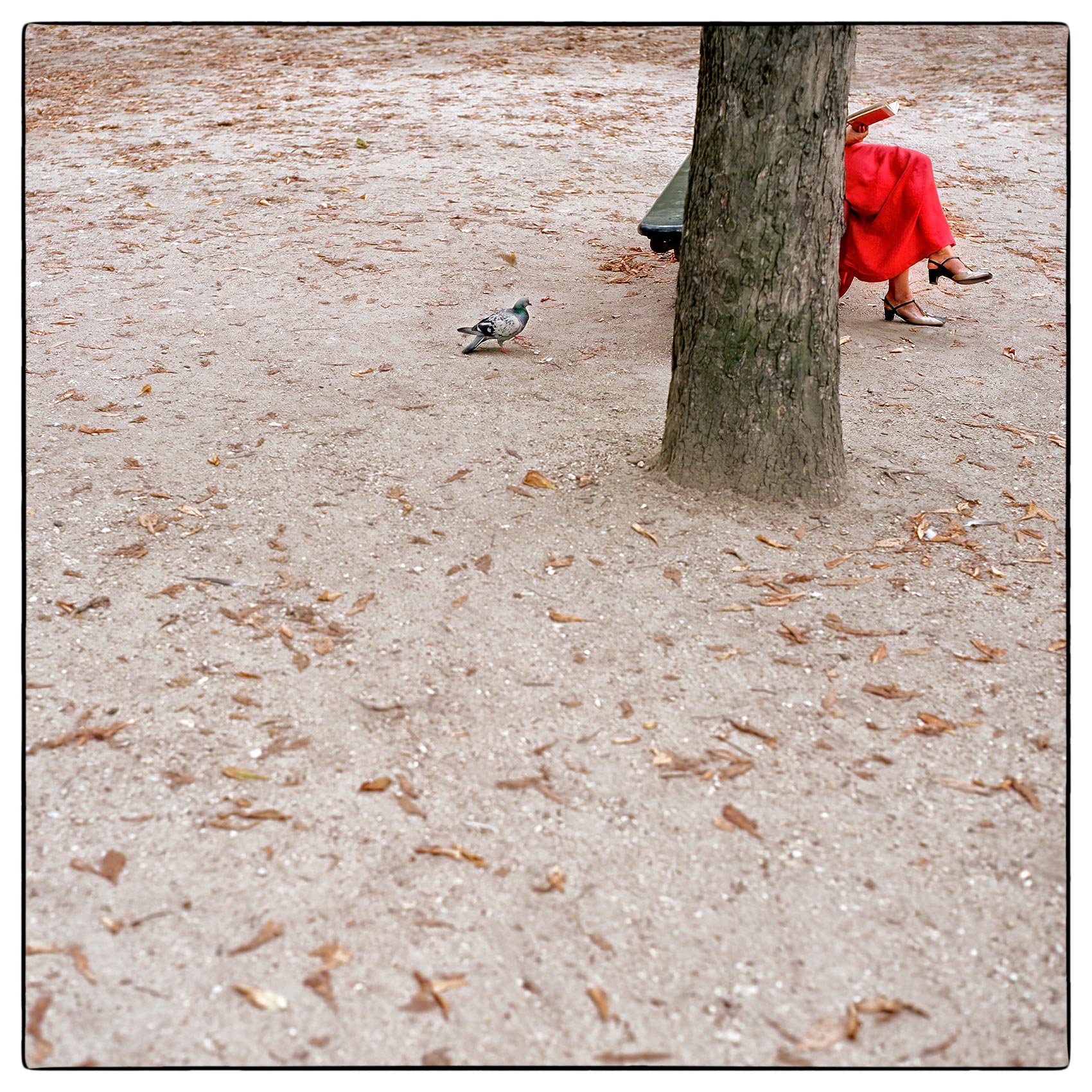 a-woman-in-a-red-dress-reads-a-red-book-at-the-tuileries-garden-in-paris-france