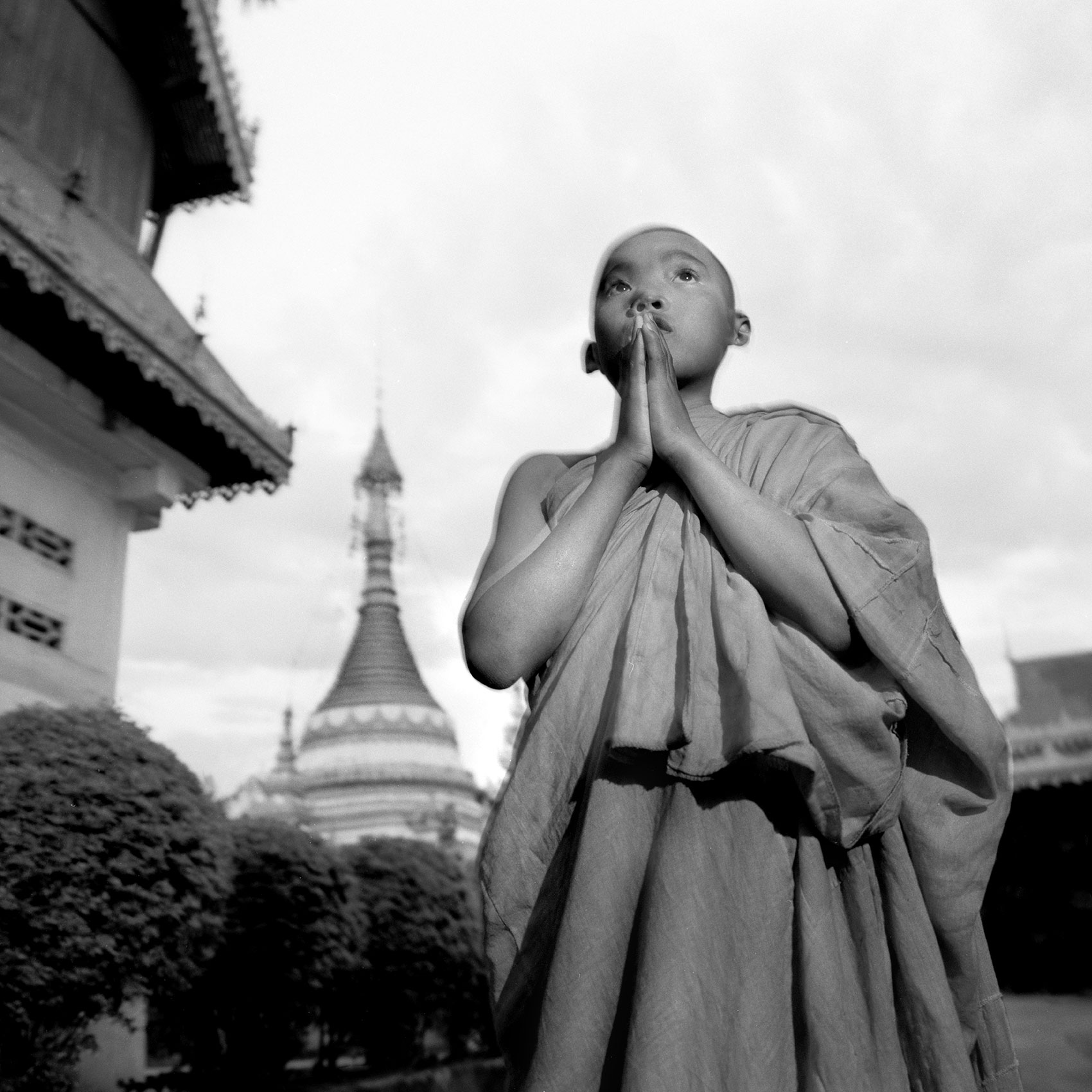 a-young-monk-outside-a-temple-in-mae-salong-northern-thailand