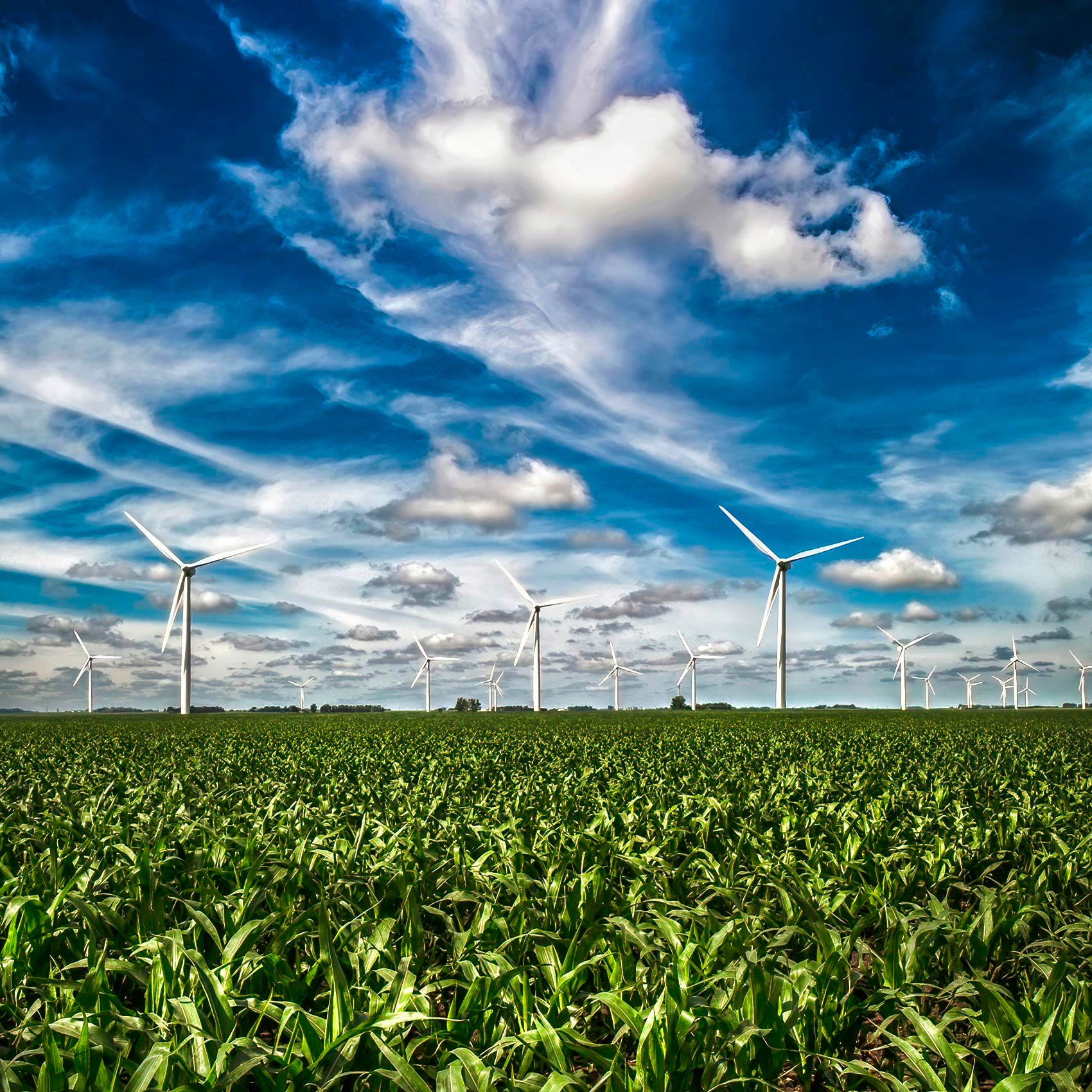 a group of wind turbines against a sunny blue sky in rural south dakota