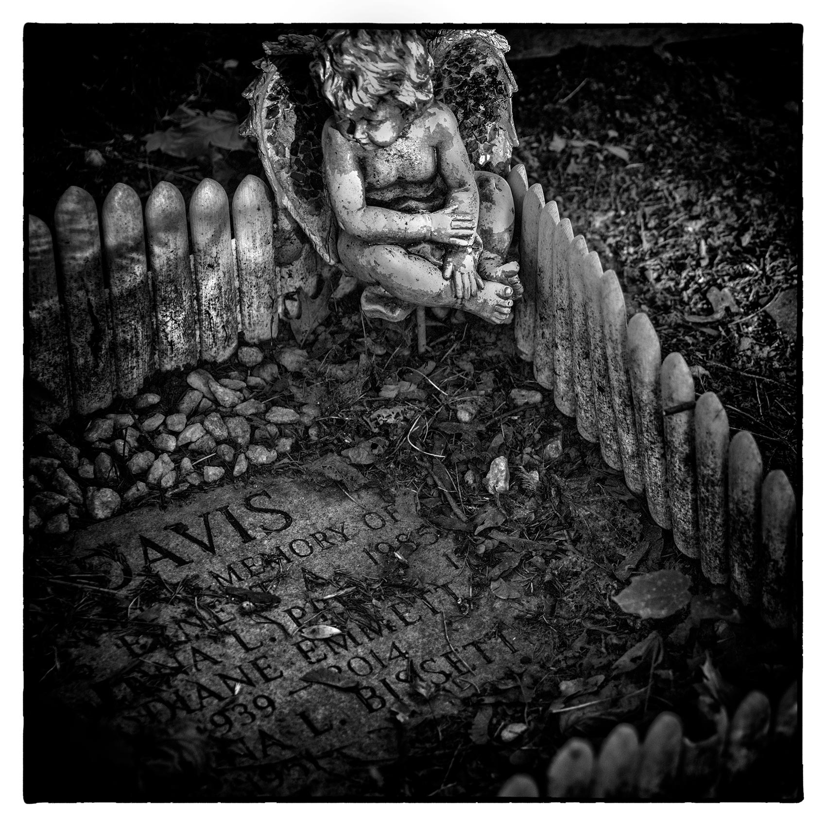 A stone carved angel watches over a grave at Torontos St. James Cemetery 