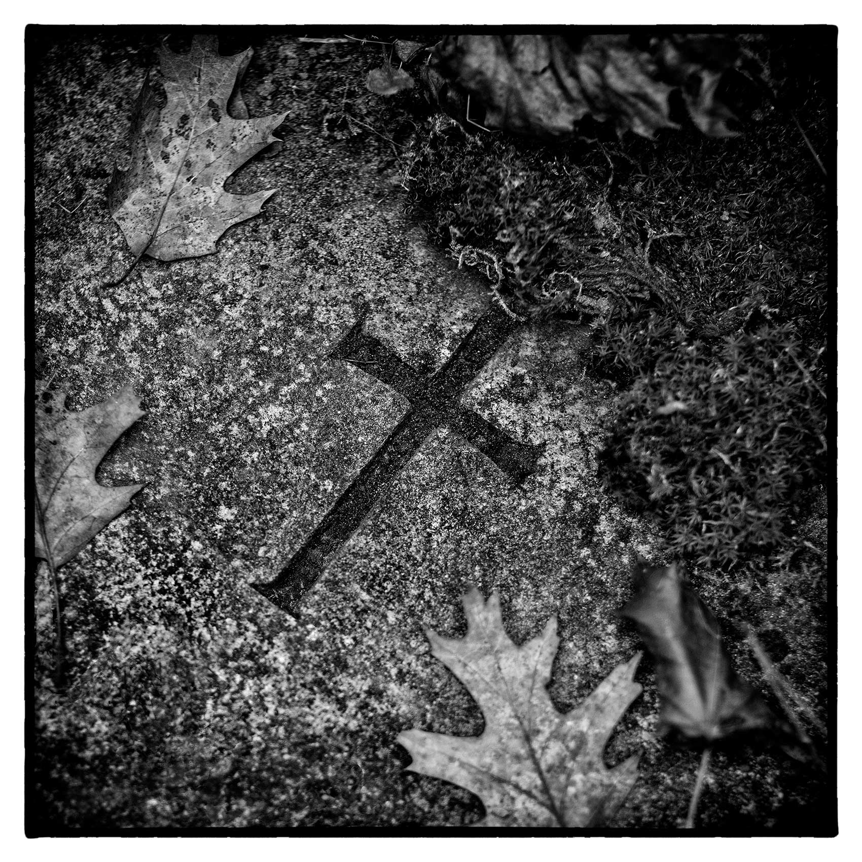 a carved cross is surrounded by leaves in St. James Cemetery in Toronto