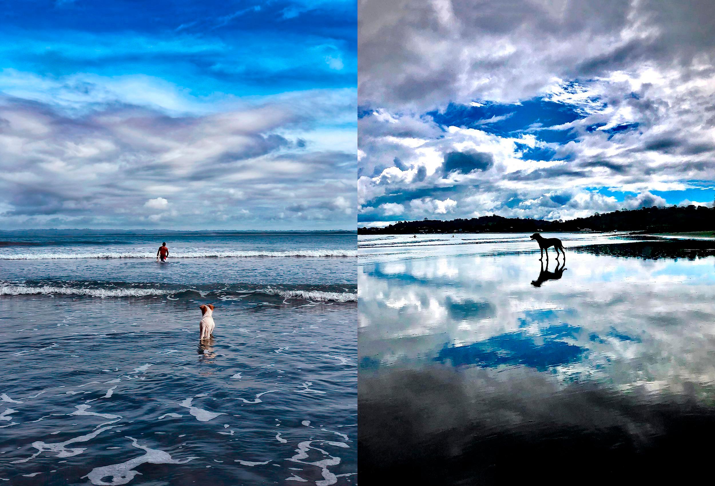 dogs-play-on-the-beach-in-ecuador-by-toronto-travel-photographer