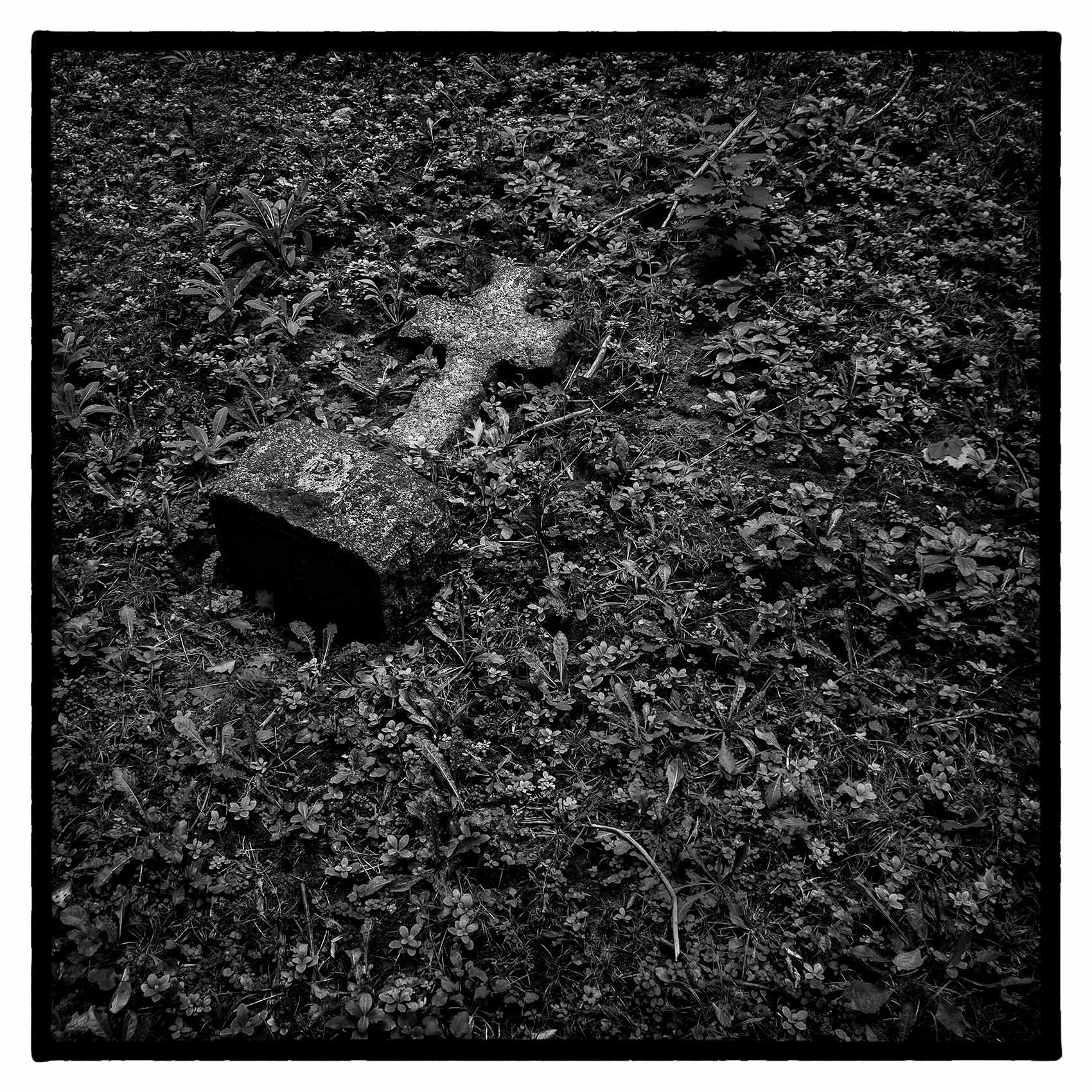 a fallen cross headstone lays in the grass on the ground at st. james cemetary in Toronto 