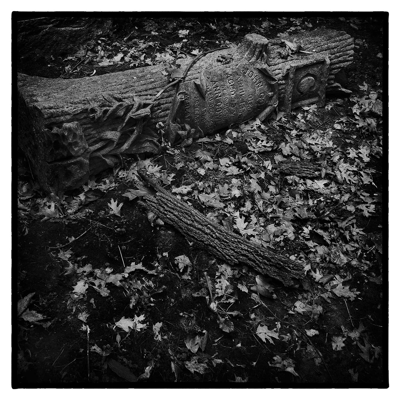 an old fallen stone oak tree headstone lays in St. James Cemetery in Toronto 