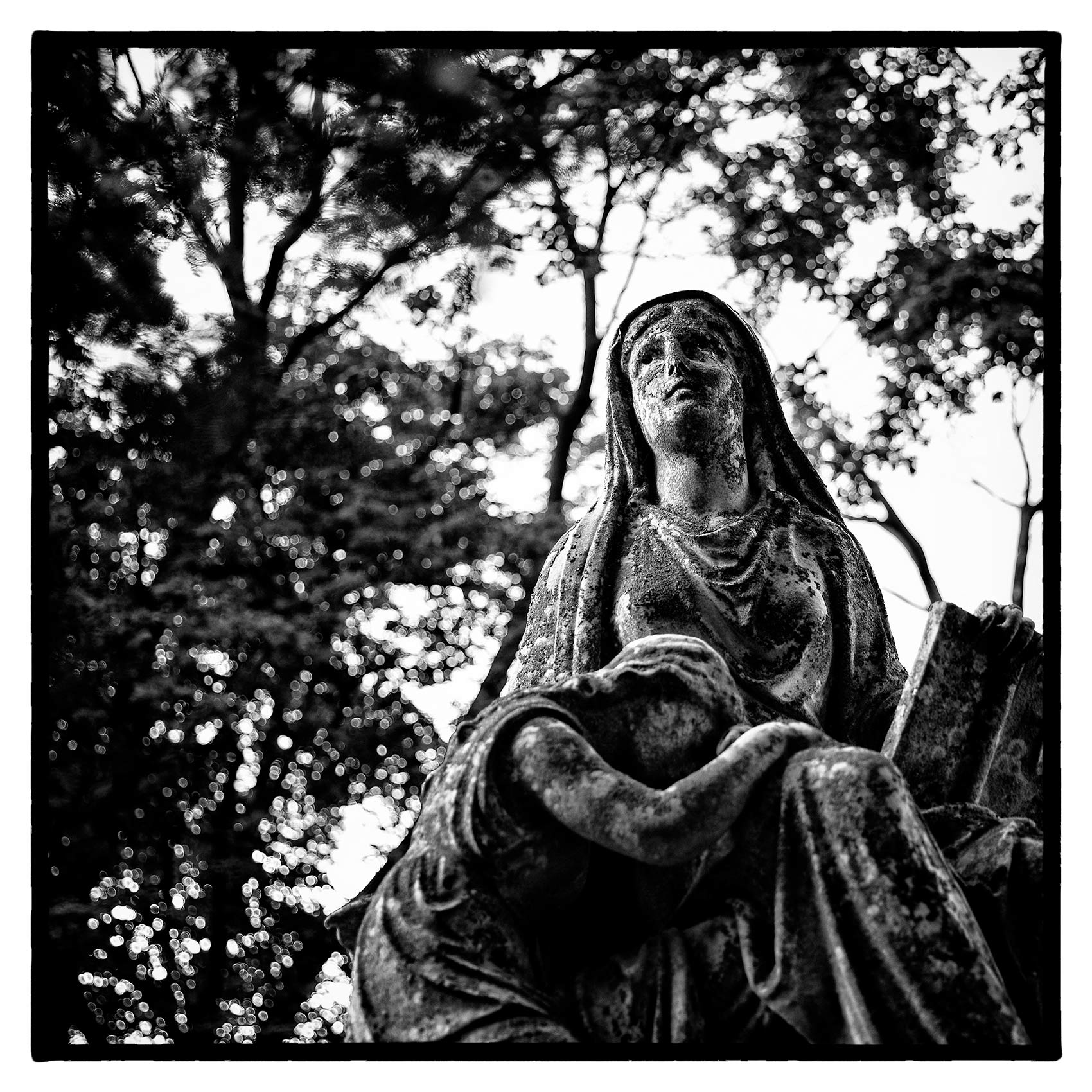 statue of the virgin mary looks towards the sky at St. James Cemetery in Toronto