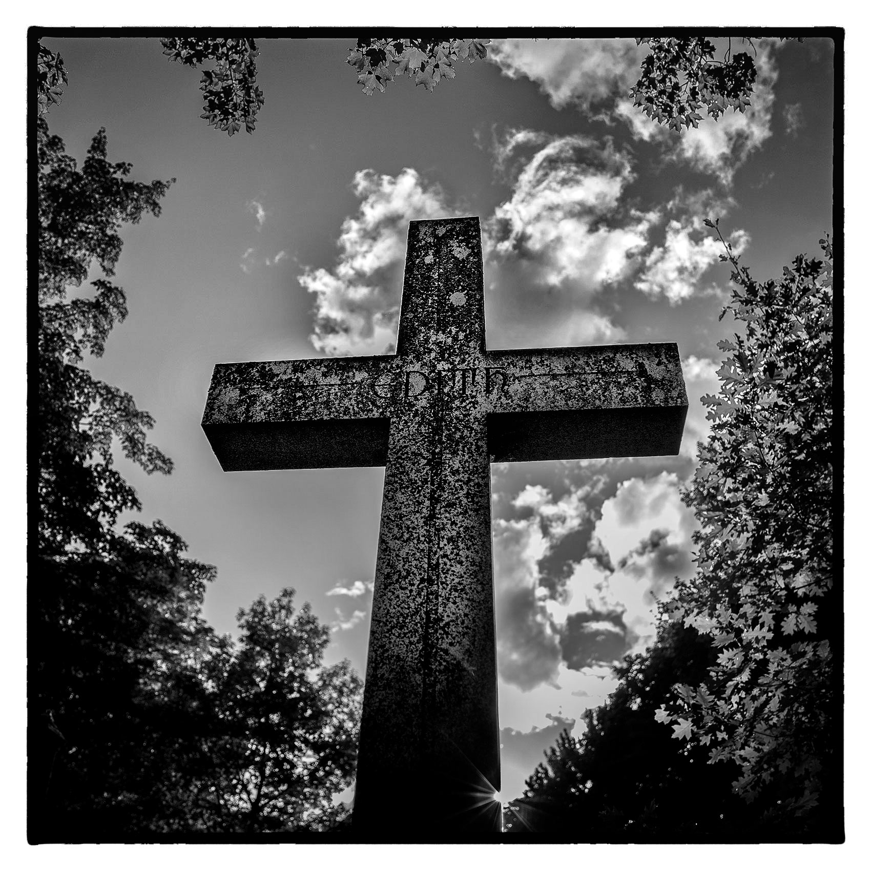 an old stone cross breaks through the trees at Torontos St. James Cemetery