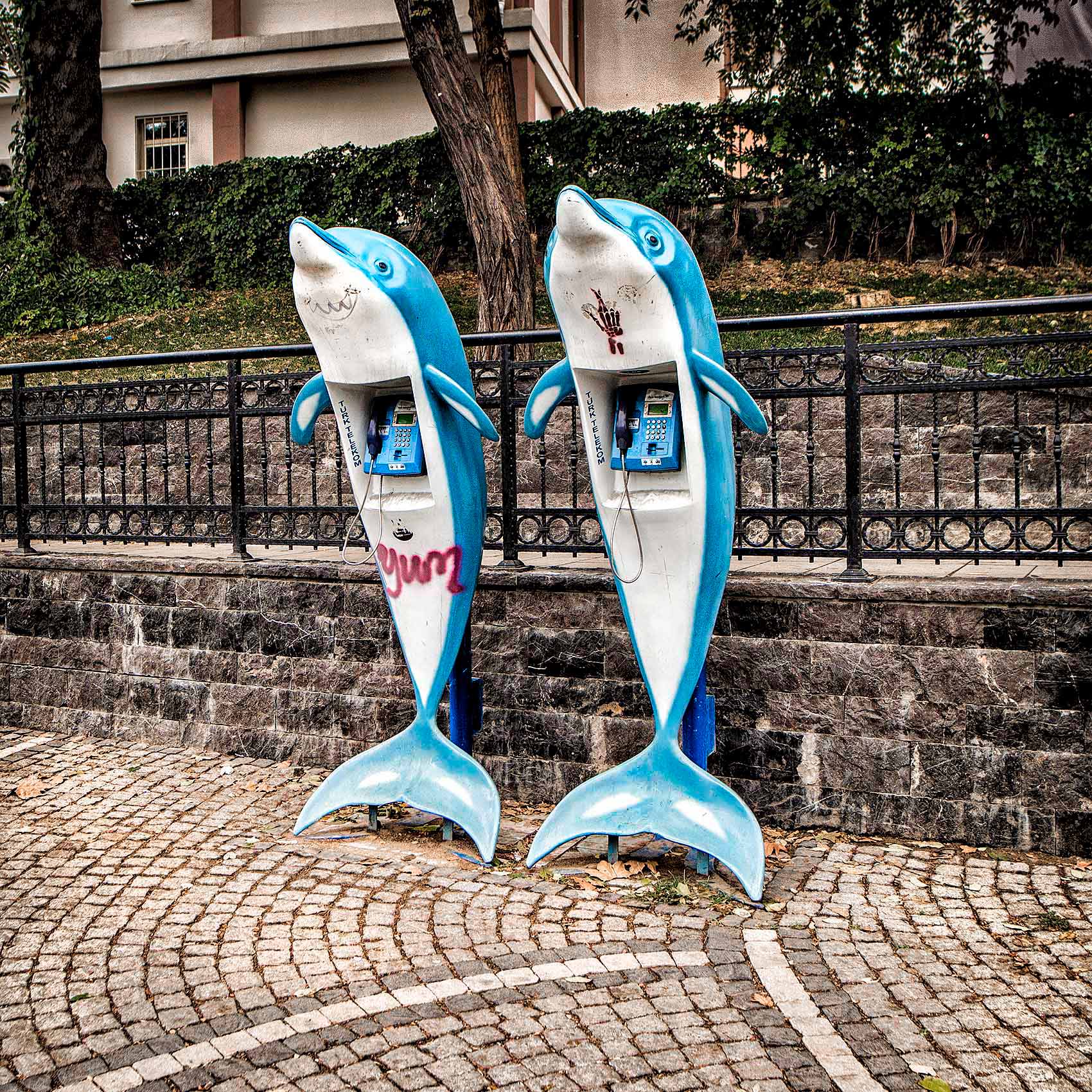 twin-telephone-booths-that-look-like-dolphins-in-the-karakoy-district-of-istanbul